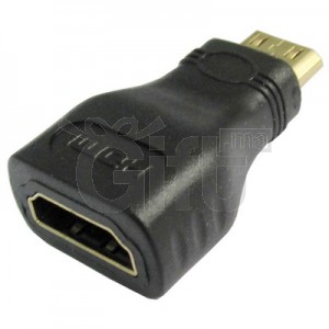 Adaptateur Mini HDMI