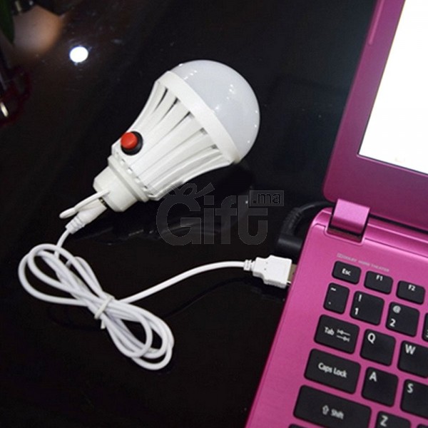 Lampe LED Portable Rechargable USB
