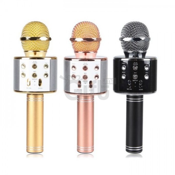 Microphone Bluetooth Sans Fil Haut Parleur Pour KARAOKÉ - WS-858