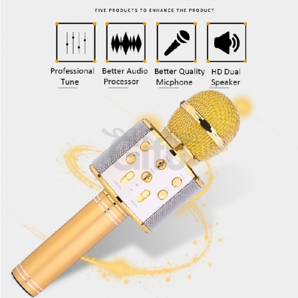 Le noir - Microphone karaoké sans fil WS 858, USB, professionnel