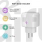 Tuya smart plug 